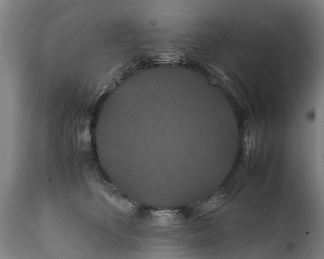 X0000112010516200908171446