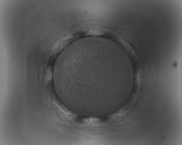 X0000112010517200908171446