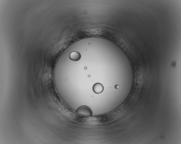 X0000112010518200908171446