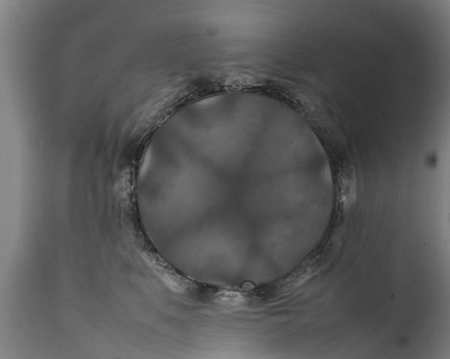 X0000112010519200908171446