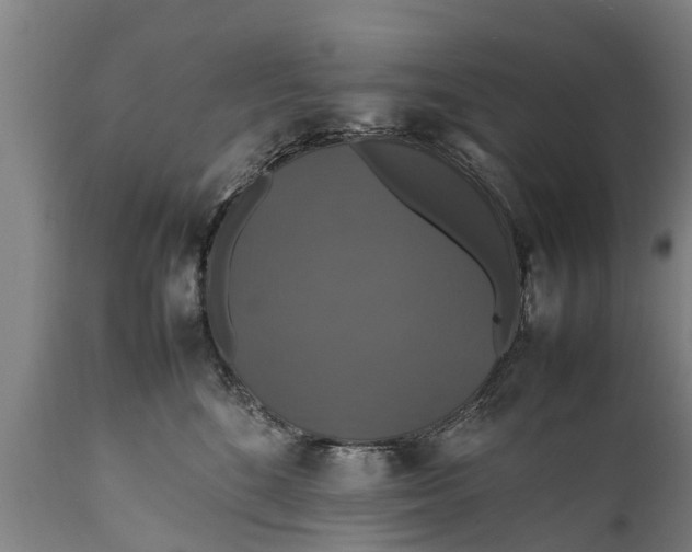 X0000112010520200908171446