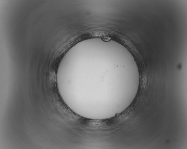 X0000112010521200908171446