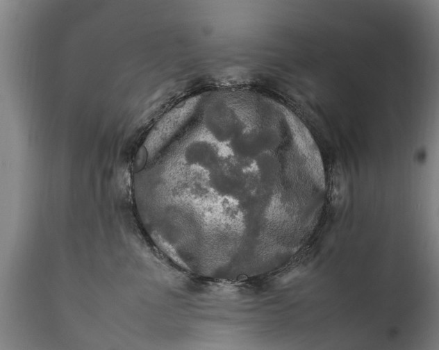 X0000112010523200908171446