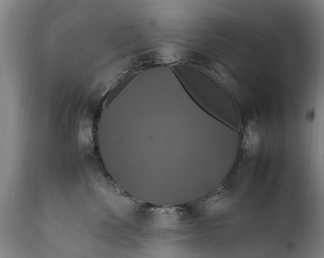 X0000112010524200908171446