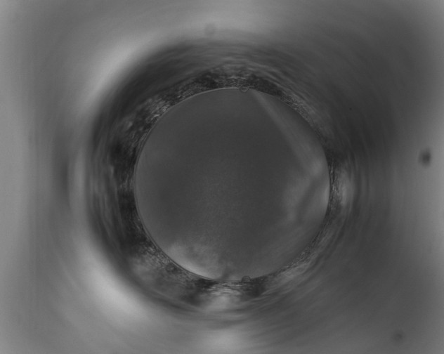 X0000112010526200908171446