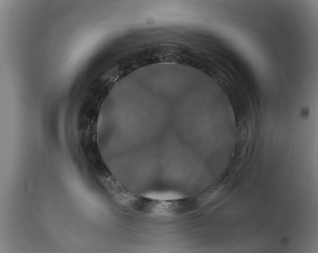 X0000112010527200908171446