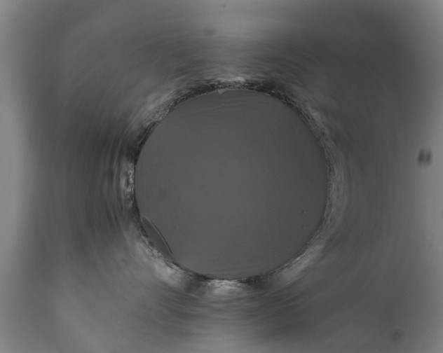 X0000112010528200908171446