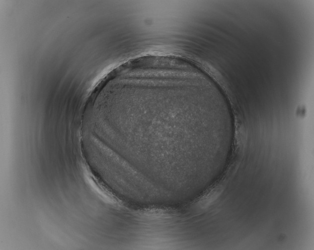 X0000112010530200908171445