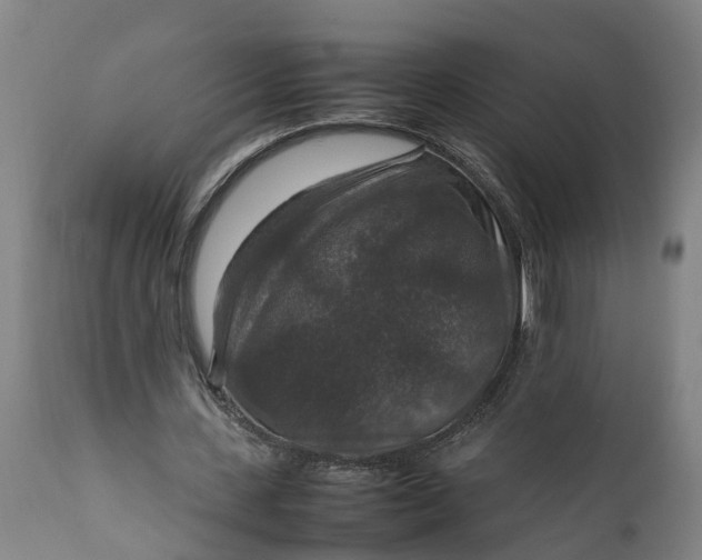 X0000112010531200908171445