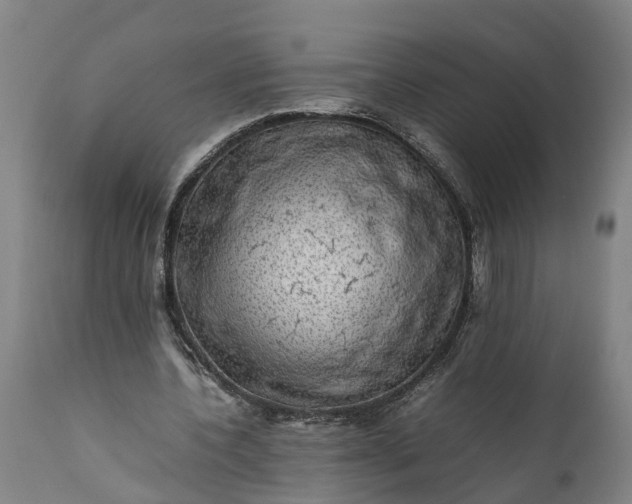 X0000112010532200908171445