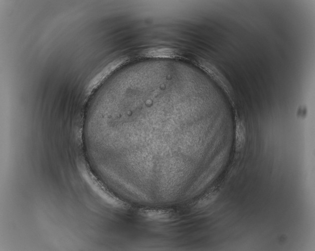 X0000112010533200908171445