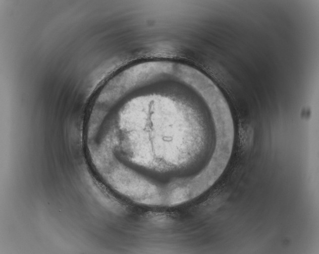 X0000112010534200908171445