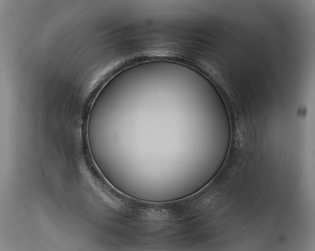 X0000112010535200908171445