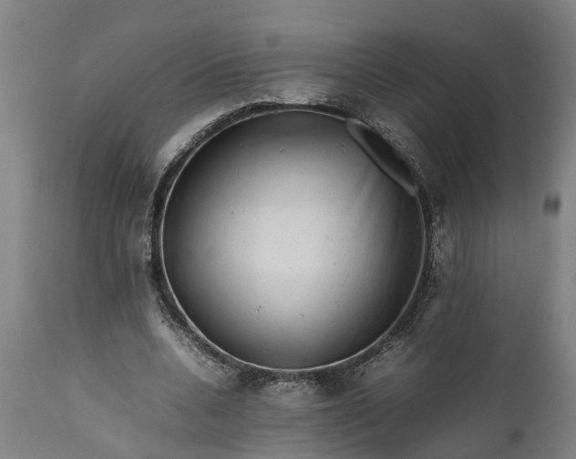 X0000112010536200908171445