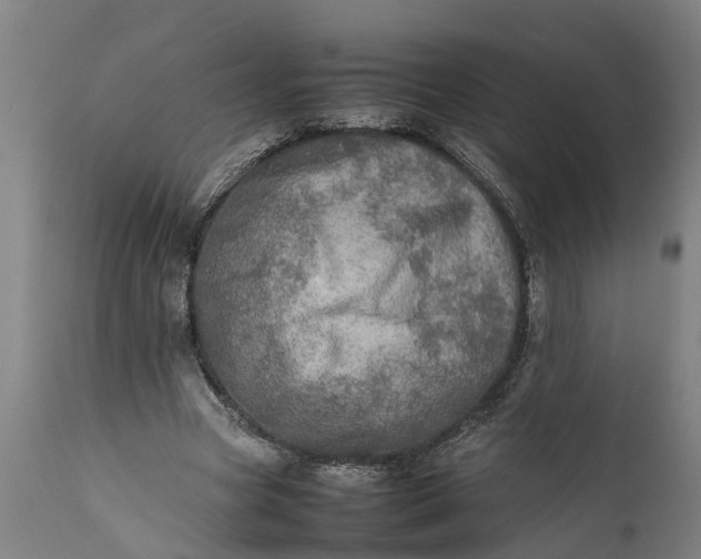 X0000112010537200908171445