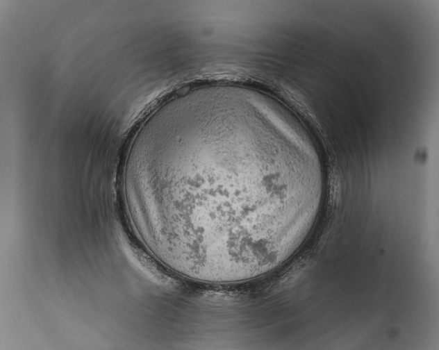 X0000112010538200908171445