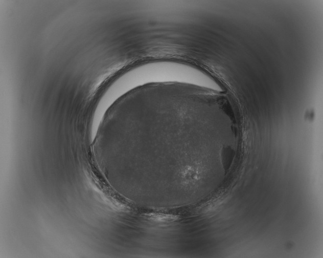 X0000112010539200908171445