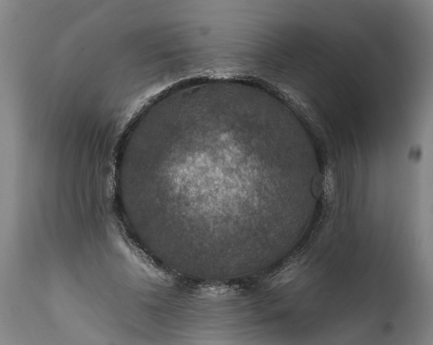 X0000112010540200908171445