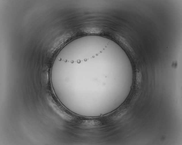 X0000112010541200908171445