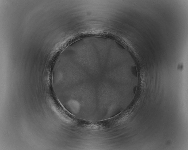 X0000112010542200908171445