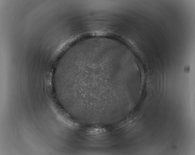 X0000112010543200908171445