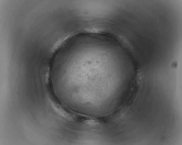 X0000112010544200908171445