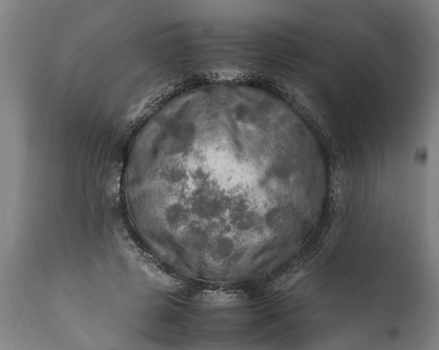 X0000112010545200908171445