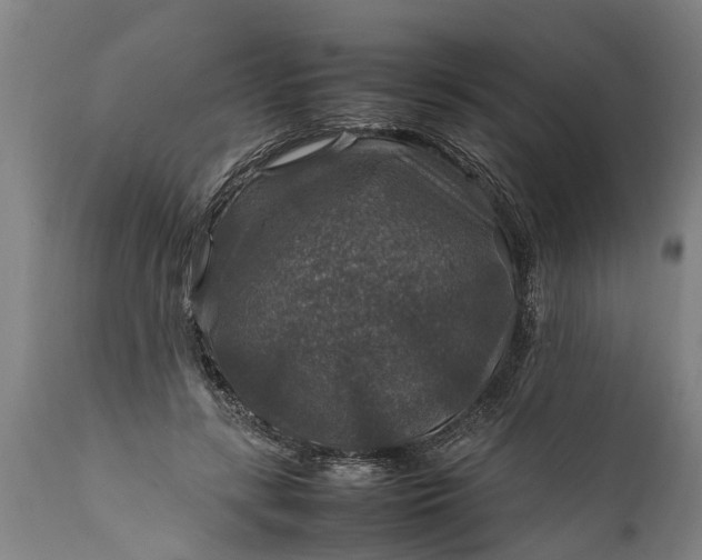 X0000112010547200908171445