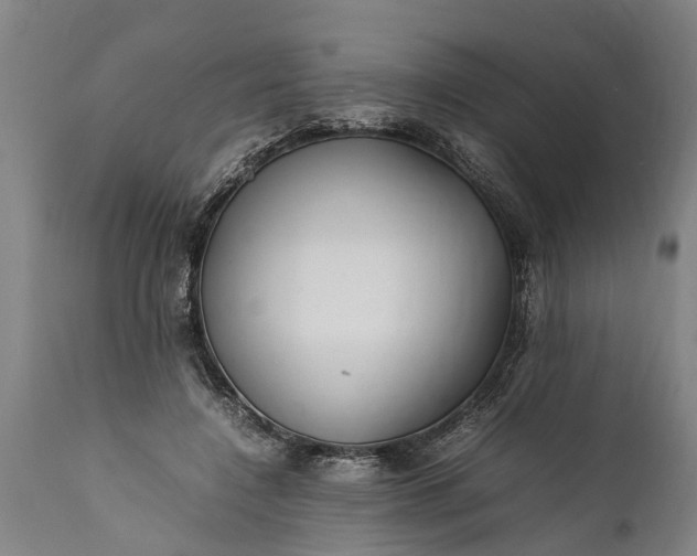 X0000112010548200908171445