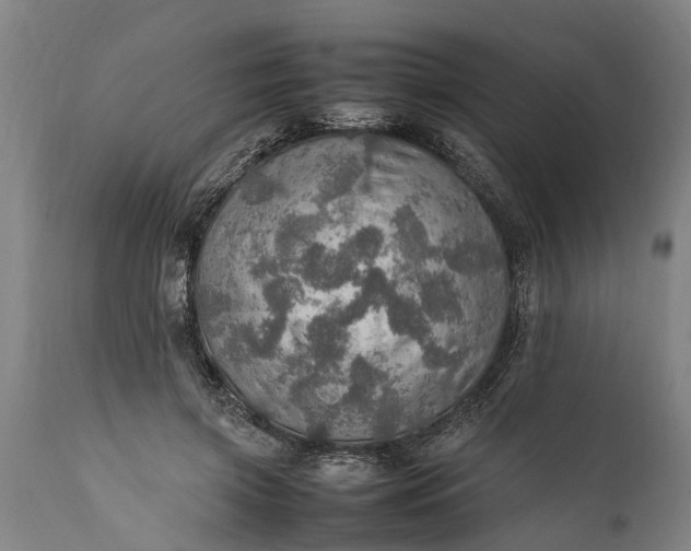 X0000112010549200908171445