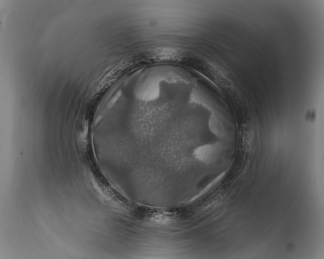 X0000112010550200908171445