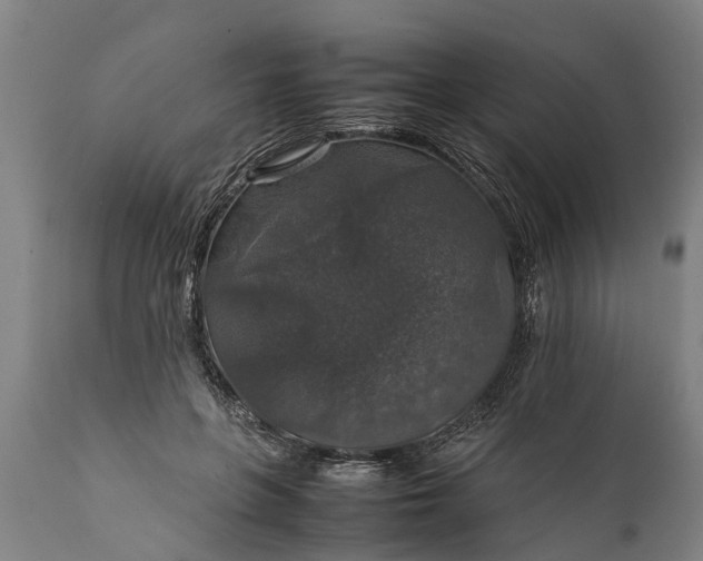 X0000112010551200908171446