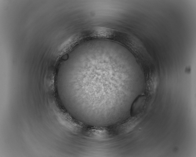 X0000112010552200908171446