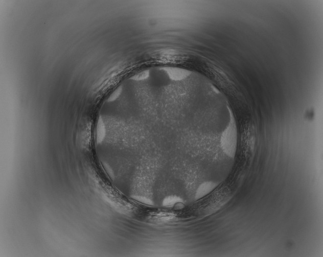 X0000112010554200908171446