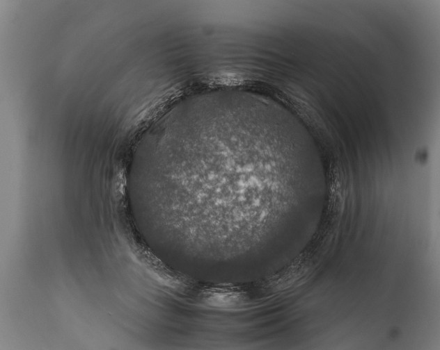 X0000112010555200908171446