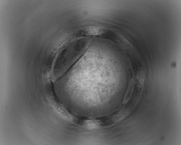 X0000112010556200908171446