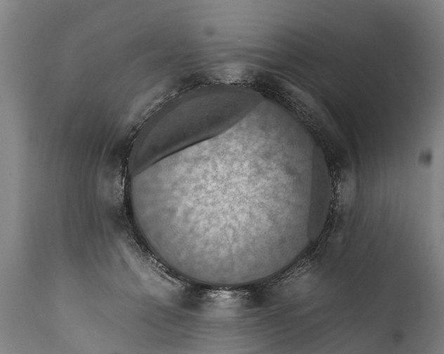 X0000112010558200908171446