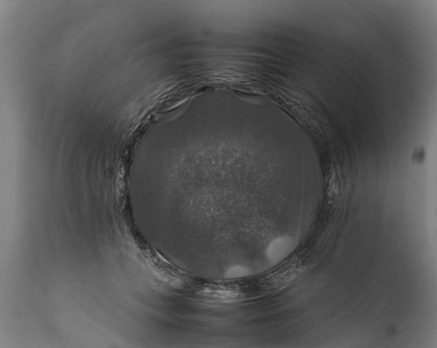 X0000112010559200908171446