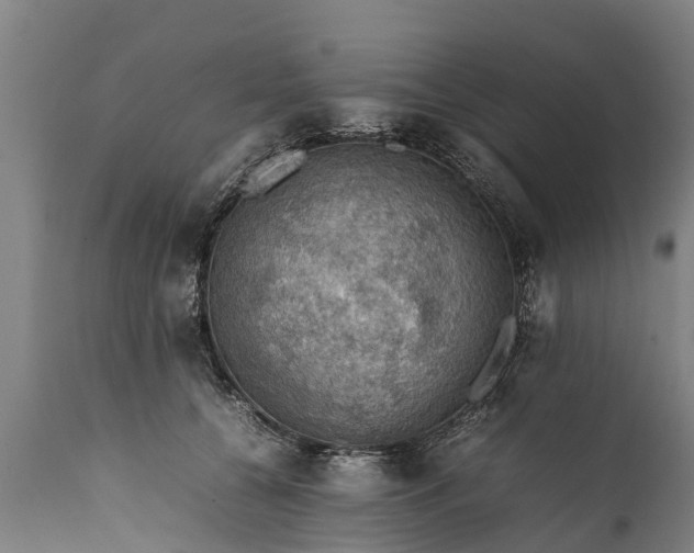 X0000112010560200908171446