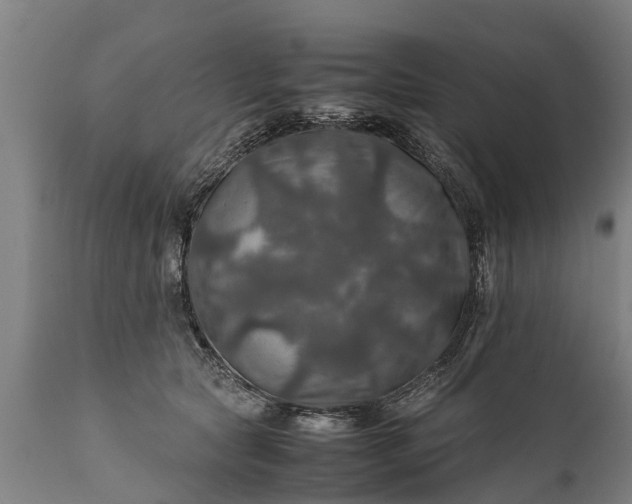 X0000112010561200908171446