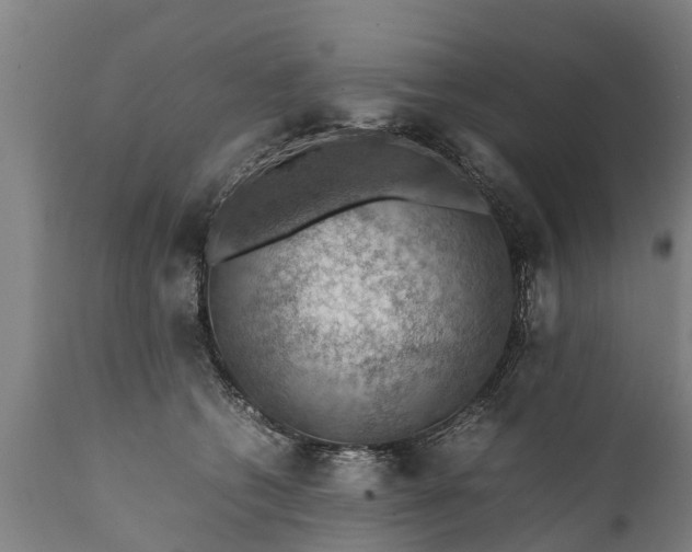 X0000112010562200908171446