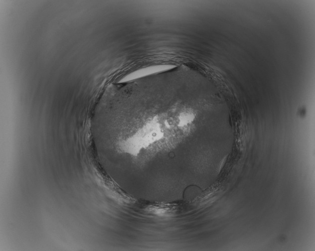 X0000112010563200908171446