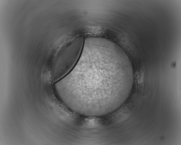 X0000112010564200908171446