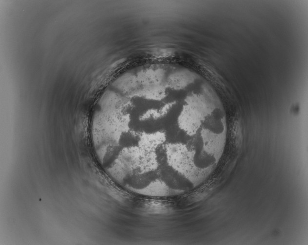 X0000112010565200908171446