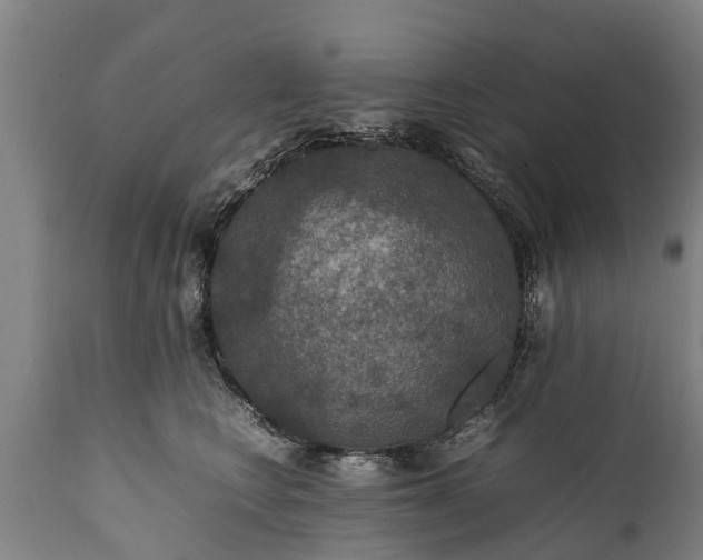 X0000112010566200908171446