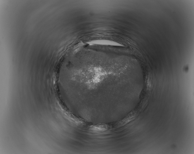 X0000112010567200908171446