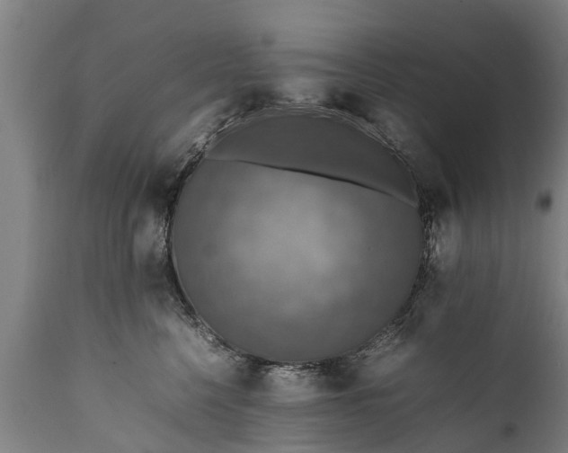 X0000112010568200908171446