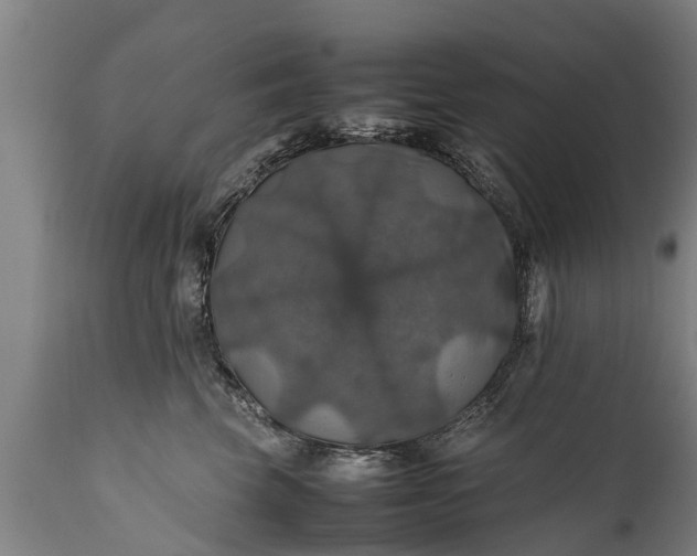 X0000112010569200908171446