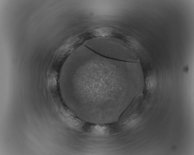 X0000112010570200908171446