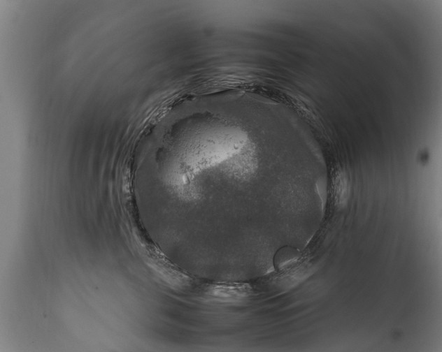 X0000112010571200908171446